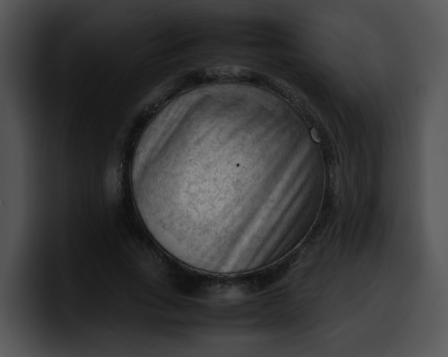 X0000099980735200806061523