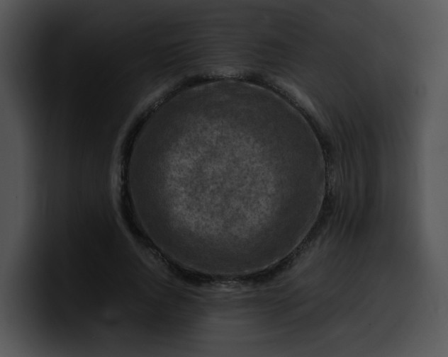 X0000099980736200806061523