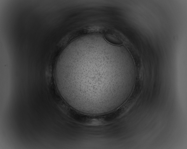 X0000099980737200806061523