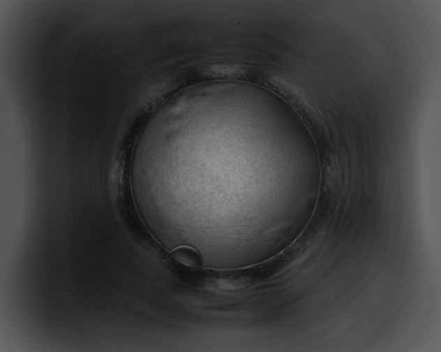 X0000099980739200806061523