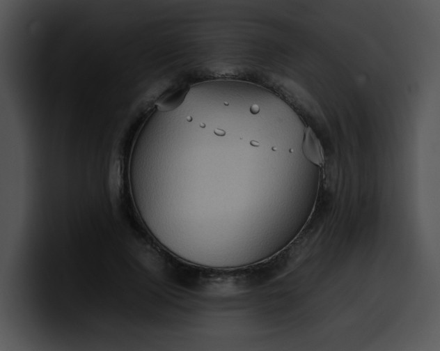 X0000099980740200806061523