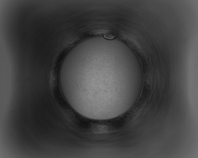 X0000099980743200806061523