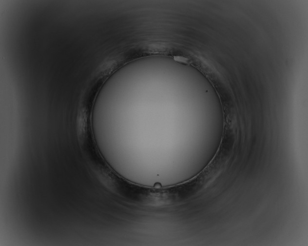 X0000099980744200806061523