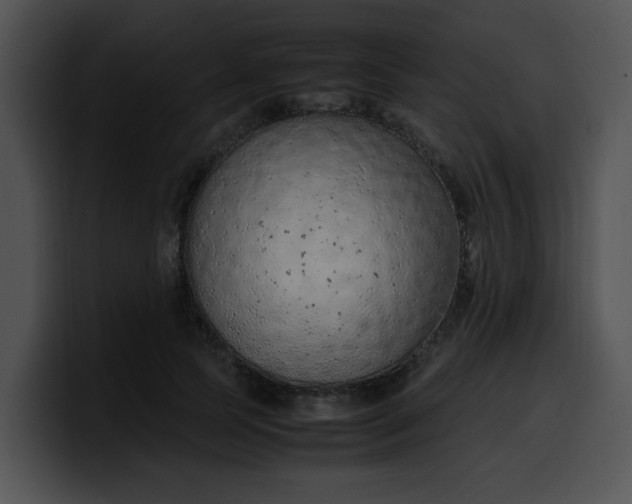 X0000099980745200806061523