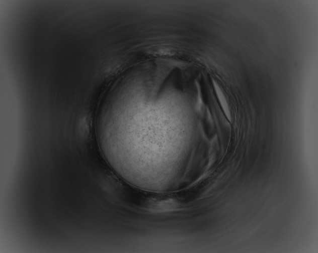 X0000099980747200806061523