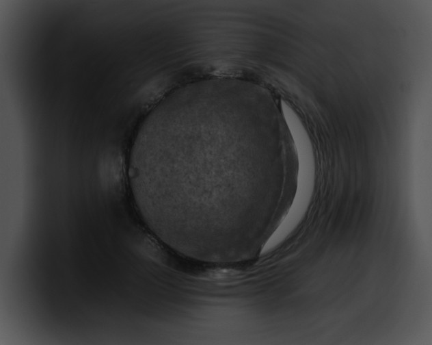 X0000099980748200806061523