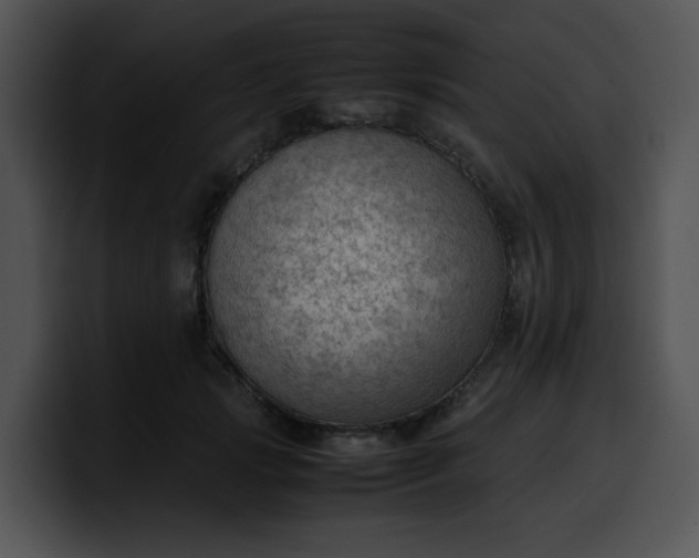 X0000099980749200806061523