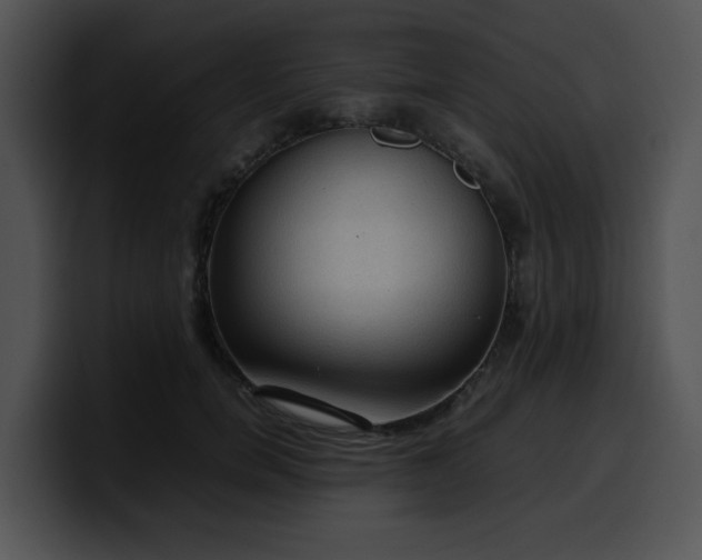 X0000099980750200806061523