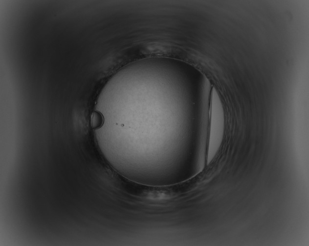 X0000099980751200806061523