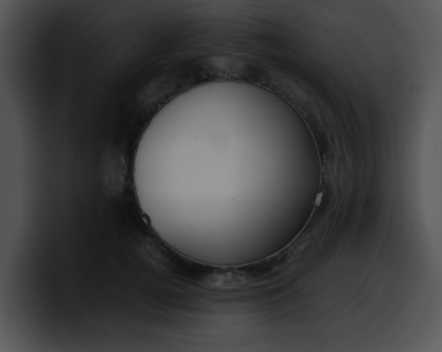 X0000099980752200806061523