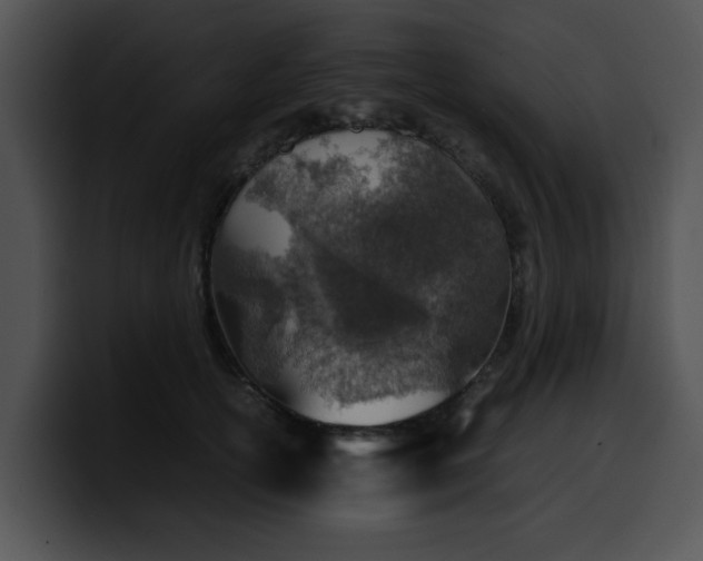 X0000099980754200806061523