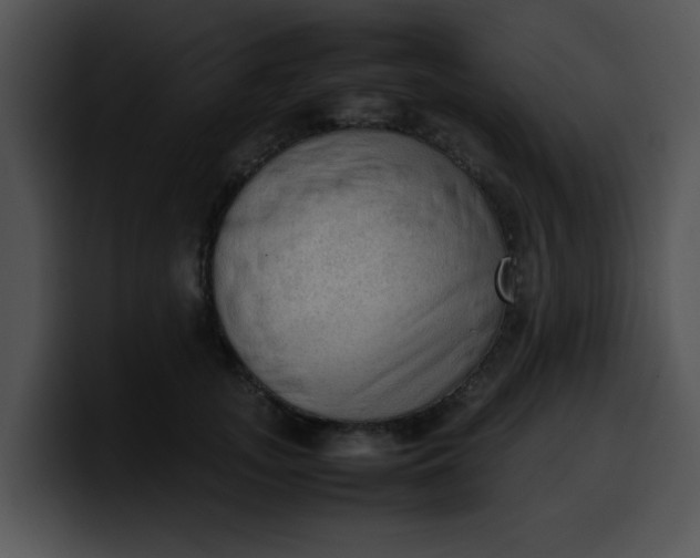 X0000099980755200806061523