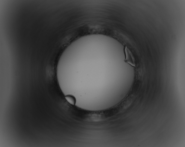 X0000099980756200806061523