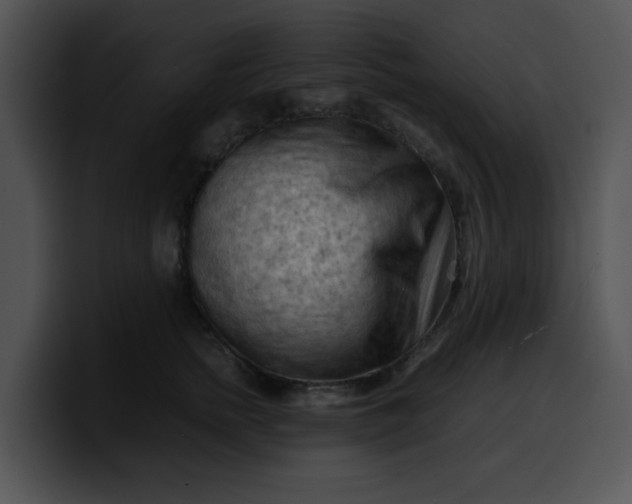 X0000099980758200806061523