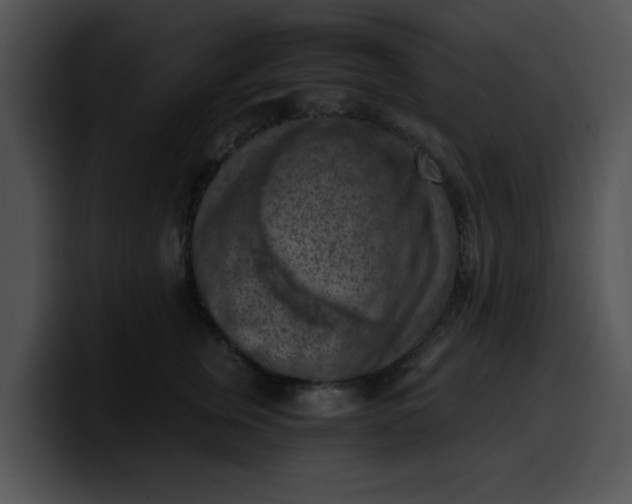 X0000099980759200806061523