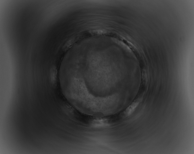 X0000099980760200806061523