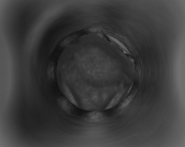 X0000099980762200806061523