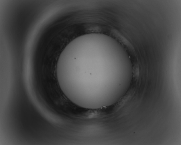 X0000099980764200806061523