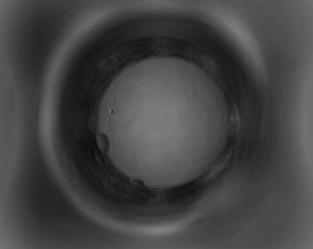 X0000099980765200806061523