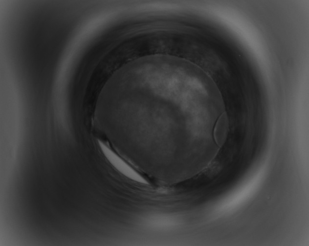 X0000099980766200806061523