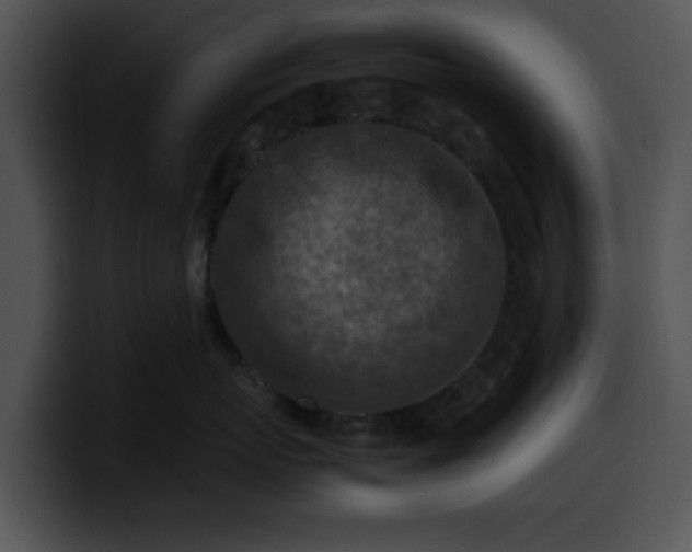 X0000099980767200806061523