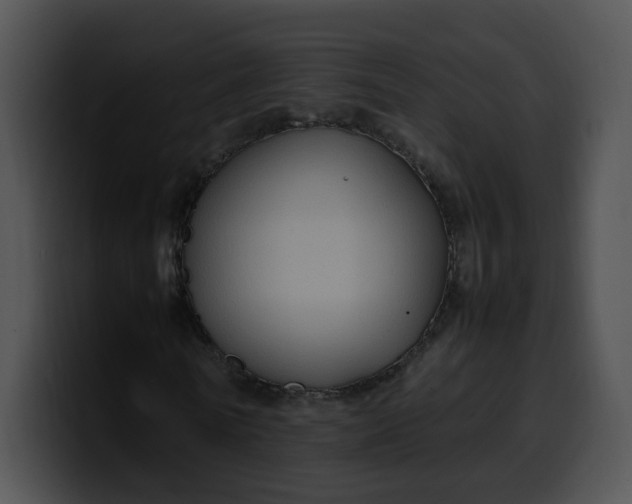 X0000099980770200806061522