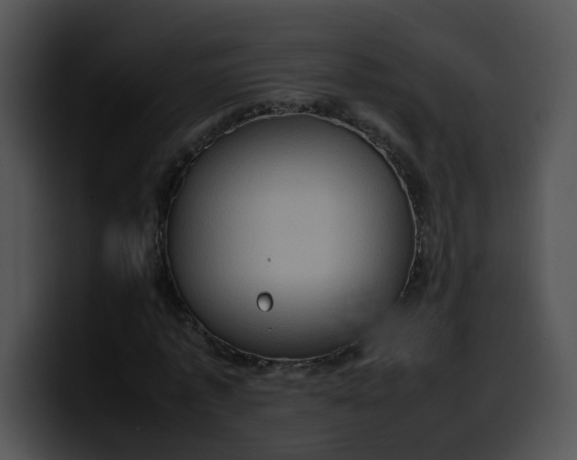 X0000099980773200806061522