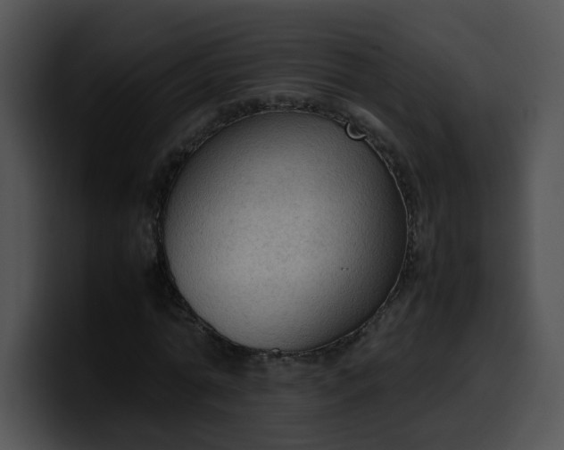 X0000099980774200806061522