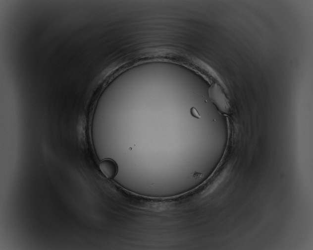 X0000099980778200806061522