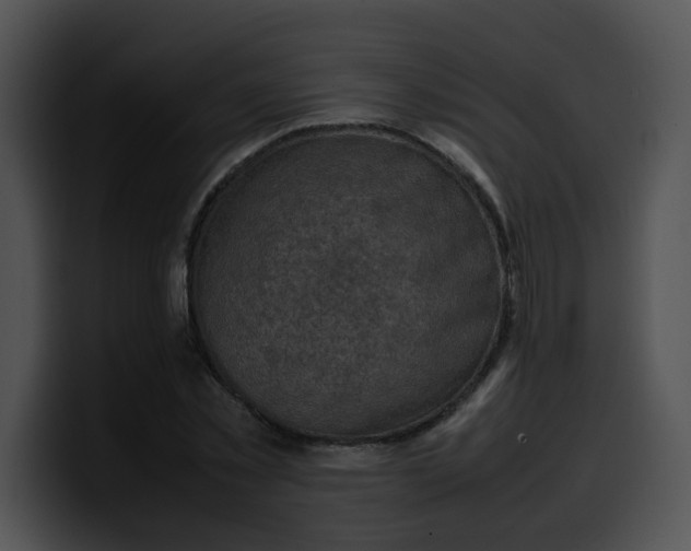 X0000099980781200806061522