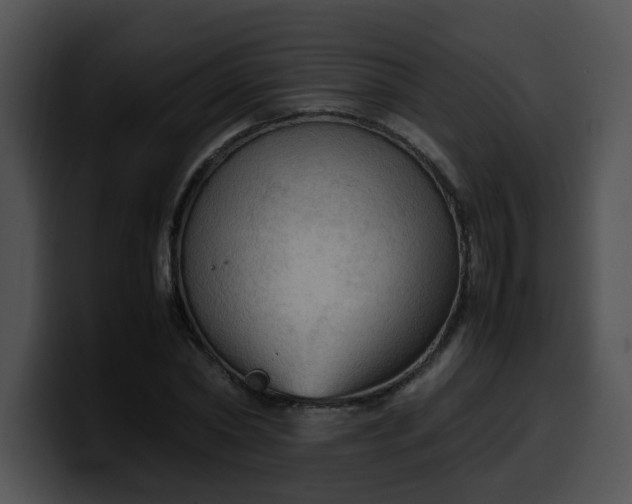 X0000099980782200806061522