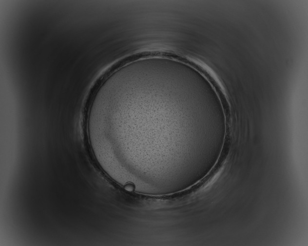 X0000099980783200806061522