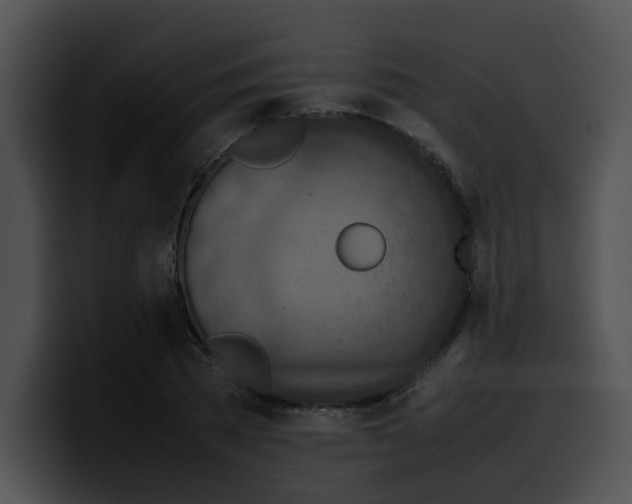 X0000099980785200806061522