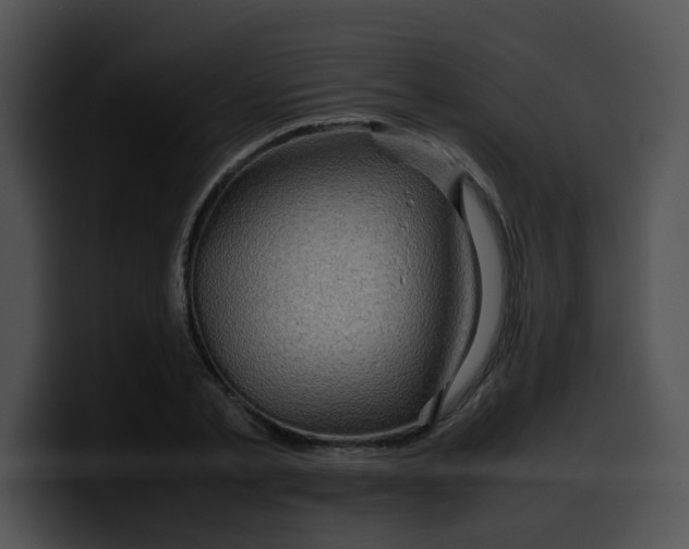 X0000099980789200806061522