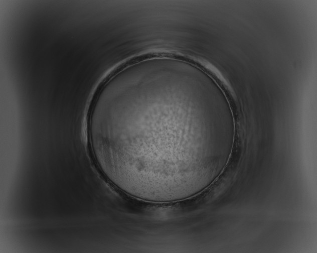 X0000099980791200806061522