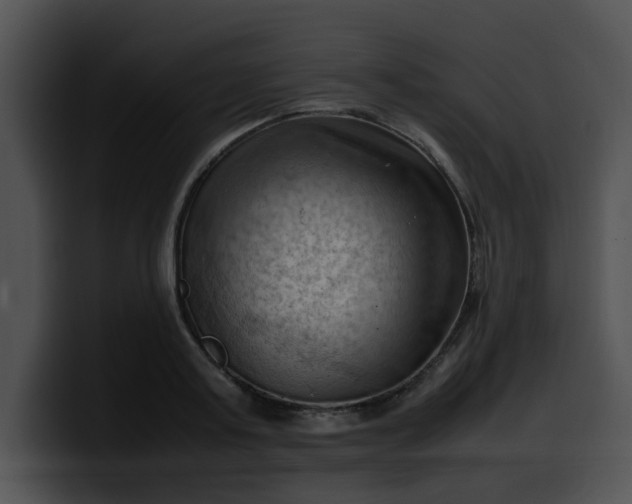 X0000099980795200806061522