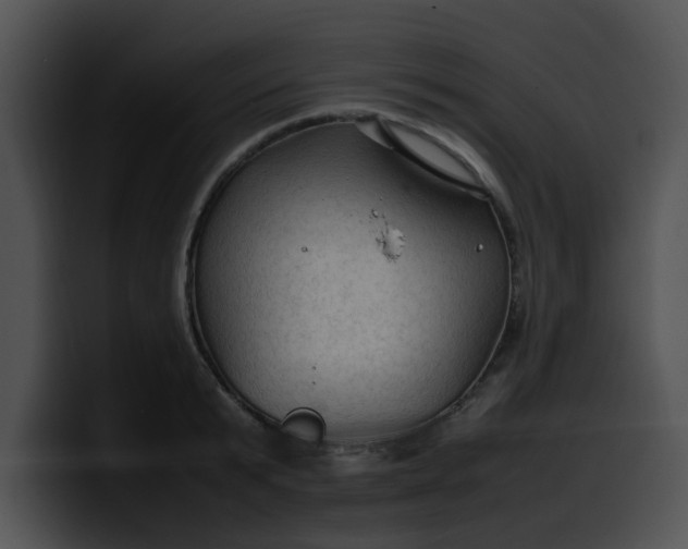 X0000099980799200806061522