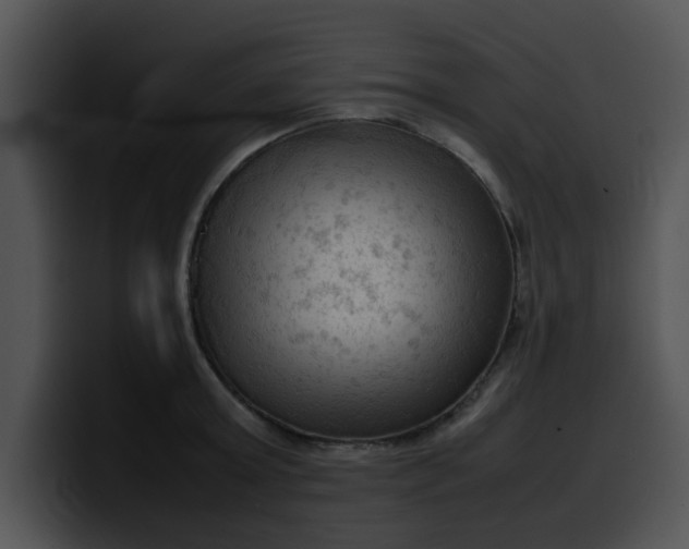 X0000099980803200806061522