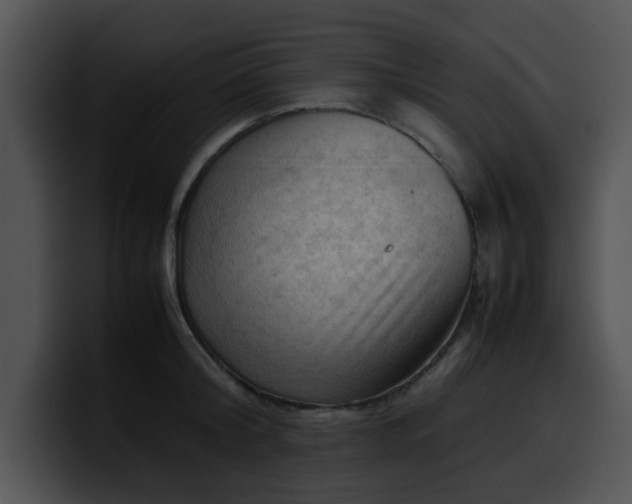 X0000099980804200806061522