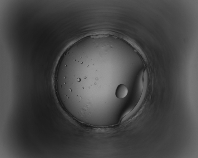 X0000099980805200806061522