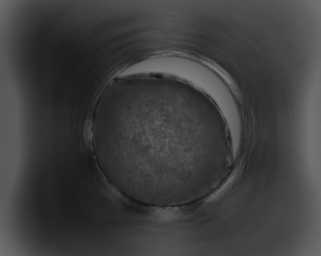 X0000099980809200806061522