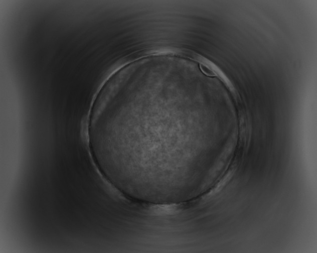 X0000099980810200806061522