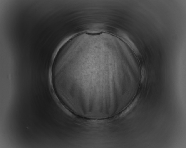 X0000099980812200806061522