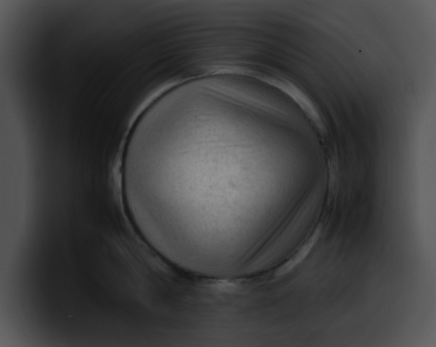 X0000099980814200806061522