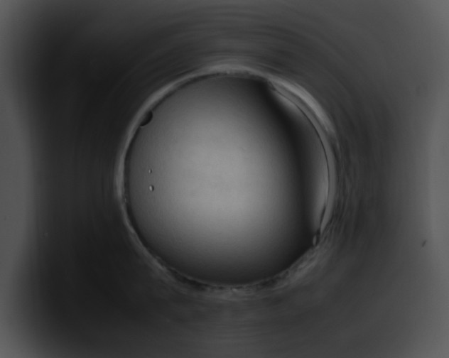 X0000099980815200806061522