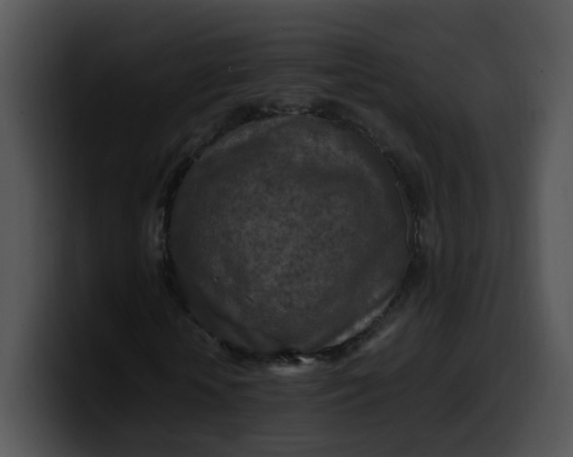 X0000099980818200806061521