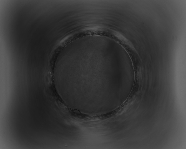 X0000099980822200806061521