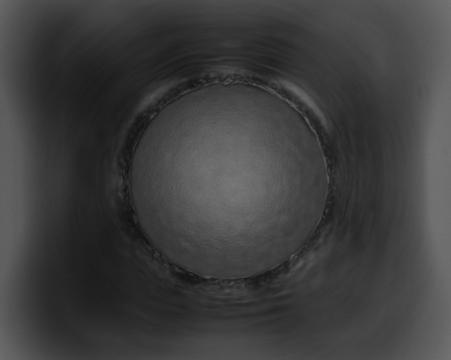 X0000099980823200806061521