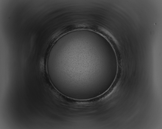 X0000099980825200806061521