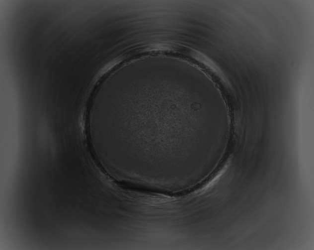 X0000099980826200806061521